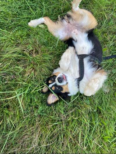 Euer absolutes lieblings Bild !-Beitrag-Bild