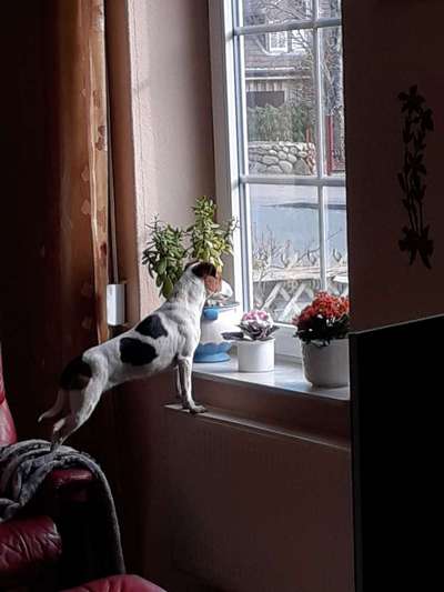 120. Fotochallenge-Beitrag-Bild