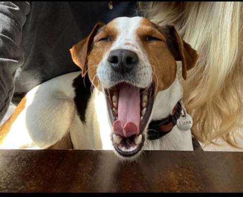 Fotochallenge Nr.122-Beitrag-Bild