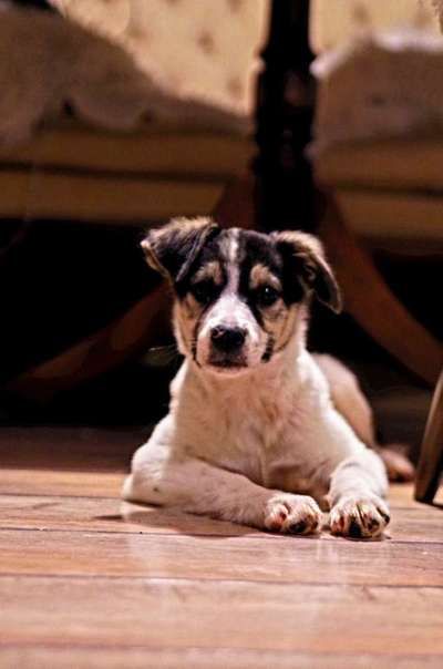 zeigt mal eure schönsten Fotos von euren Lieblingen.-Beitrag-Bild