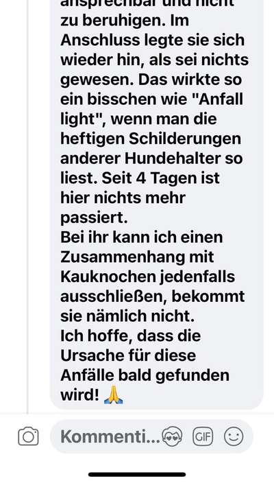 „Werwolfsyndrom“ bei Hunden – Was ist mit unseren Kauknochen los? 🐺🦴-Beitrag-Bild