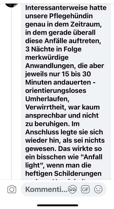 „Werwolfsyndrom“ bei Hunden – Was ist mit unseren Kauknochen los? 🐺🦴-Beitrag-Bild