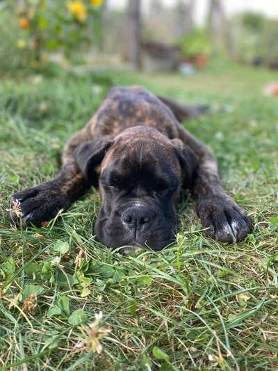 FOTO-Challenge  NR. 91: Die pure Entspannung-Beitrag-Bild