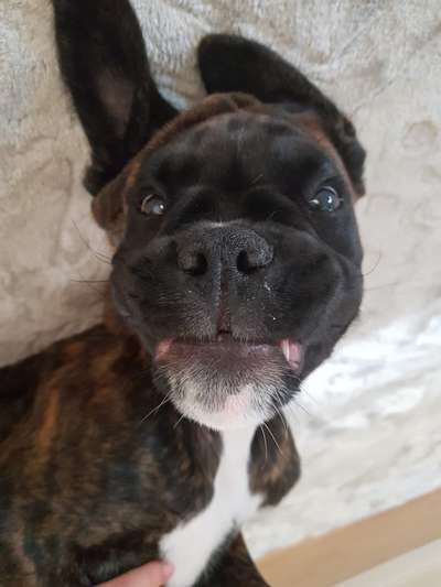 FOTO-Challenge  NR. 91: Die pure Entspannung-Beitrag-Bild