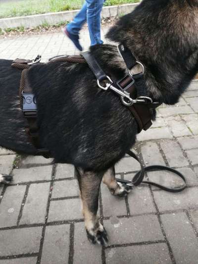 Panik vor Geschirr-Beitrag-Bild