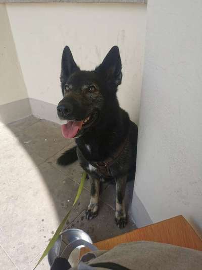 Panik vor Geschirr-Beitrag-Bild