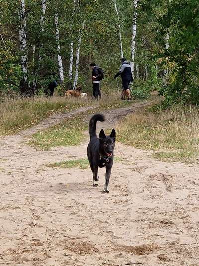 Was hat euch heute gefreut?-Beitrag-Bild