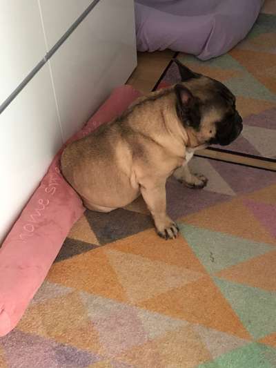 Möchte er uns damit etwas sagen?-Beitrag-Bild