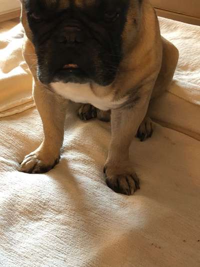 Möchte er uns damit etwas sagen?-Beitrag-Bild