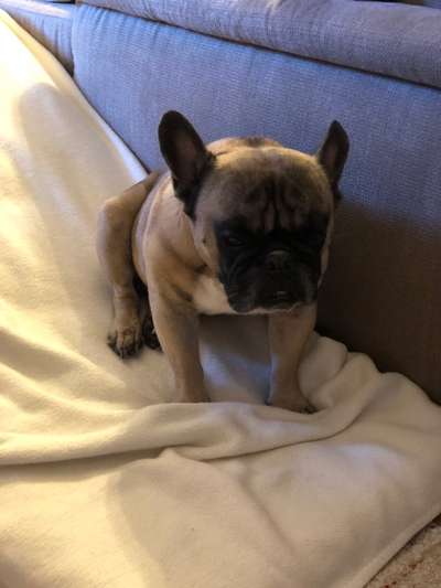 Möchte er uns damit etwas sagen?-Beitrag-Bild