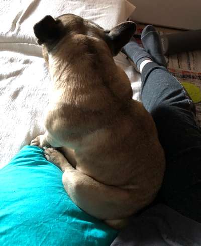 Möchte er uns damit etwas sagen?-Beitrag-Bild