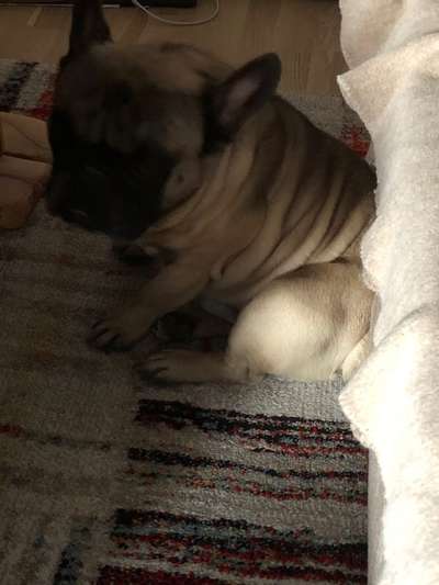 Möchte er uns damit etwas sagen?-Beitrag-Bild