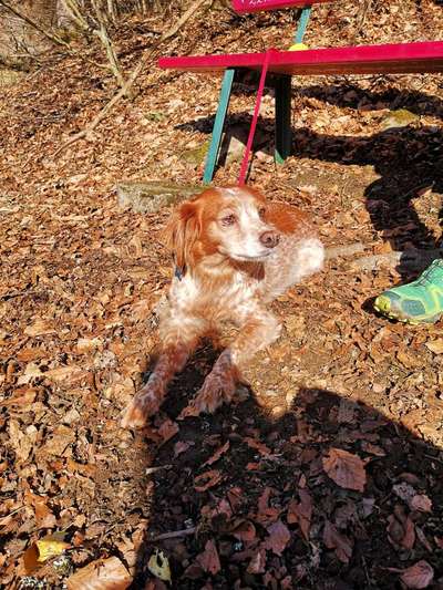 Seltene Rassen!-Beitrag-Bild