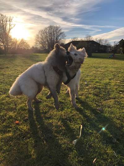 Lustige Grimassen & verrückte Posen-Beitrag-Bild