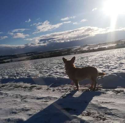 Lieblingsbild-Beitrag-Bild