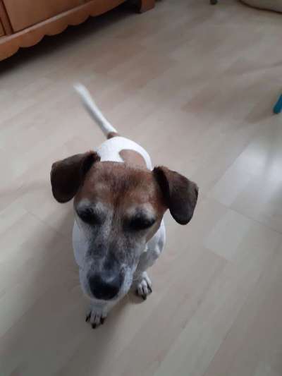 Lieblingsbild :D-Beitrag-Bild