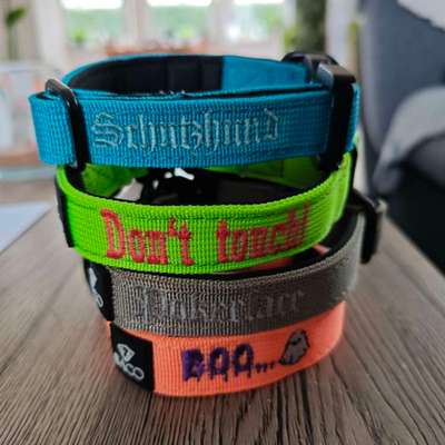 Hunde Zubehör-Beitrag-Bild