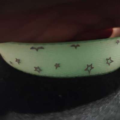 Hunde Zubehör-Beitrag-Bild