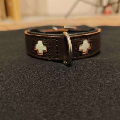 Hunde Zubehör-Beitrag-Bild