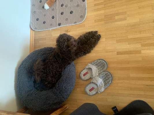 Allein bleiben-Beitrag-Bild