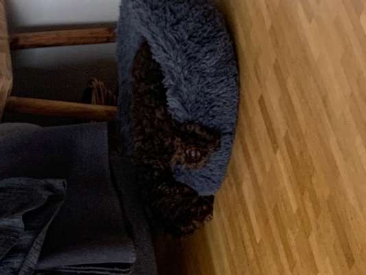 Allein bleiben-Beitrag-Bild