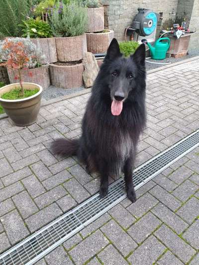 Was hat euch heute genervt?-Beitrag-Bild