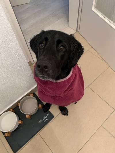 Fotochallenge Nr. 29 - Accessoires-Beitrag-Bild