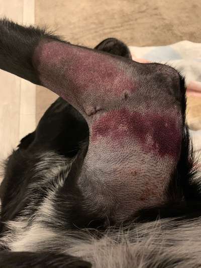 ED FCP Erfahrungen-Beitrag-Bild