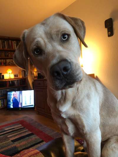 150. Foto Challaenge:  Die Augen, der Spiegel der Seele-Beitrag-Bild