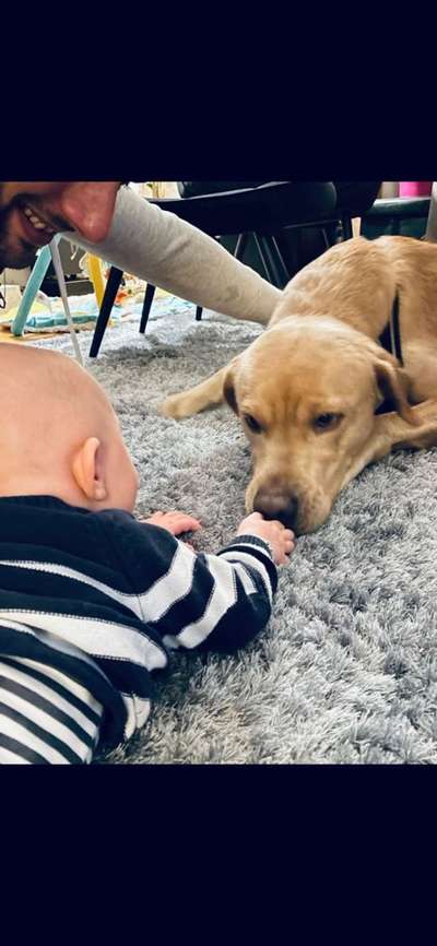 63. Handyfotochallenge   * Nase dran ! *-Beitrag-Bild