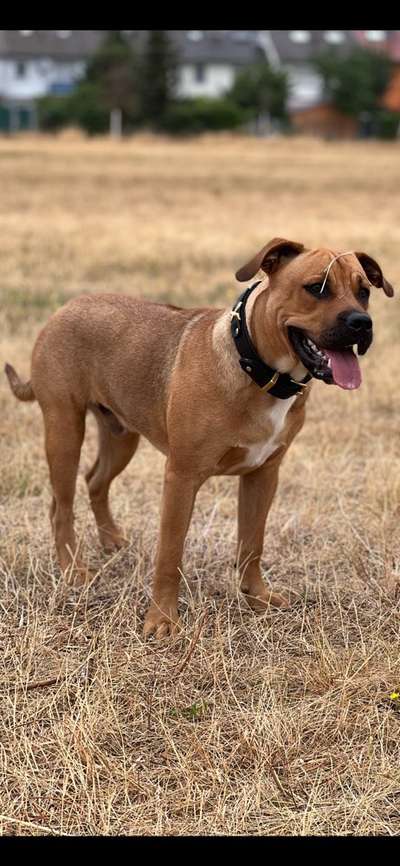 Lieblingsbild-Beitrag-Bild