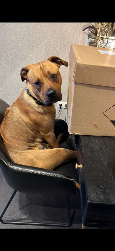 147. Foto Challenge: Bettelblick-Beitrag-Bild