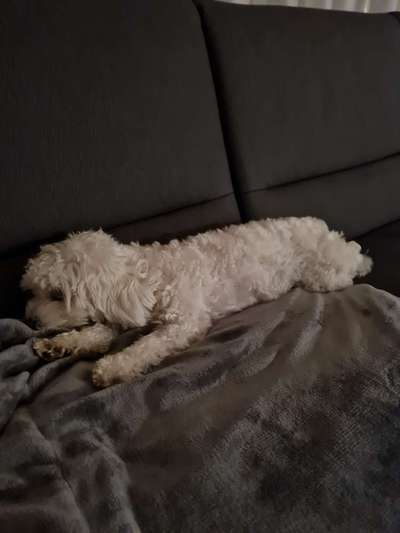 Freundschaftsanfragen-Beitrag-Bild