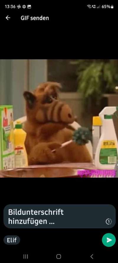 Freundschaftsanfragen-Beitrag-Bild