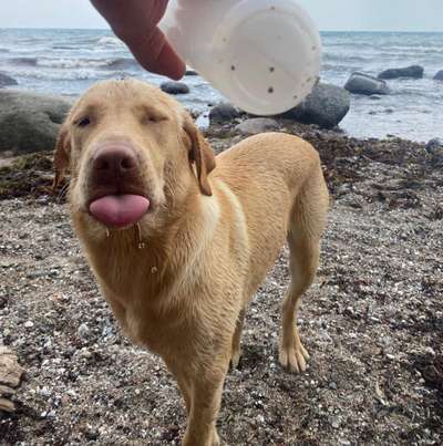 Her mit dem Grimassen-Beitrag-Bild