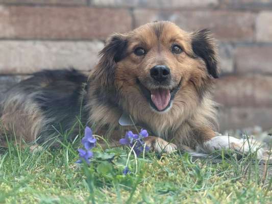 Fotochallenge No. 26                                     Wald und Wiese-Beitrag-Bild