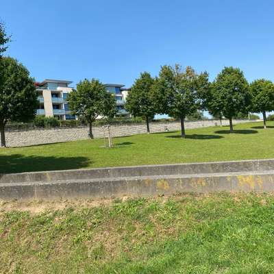 Hundeauslaufgebiet-Hundewiese Bonifatiuspark Riedberg-Bild