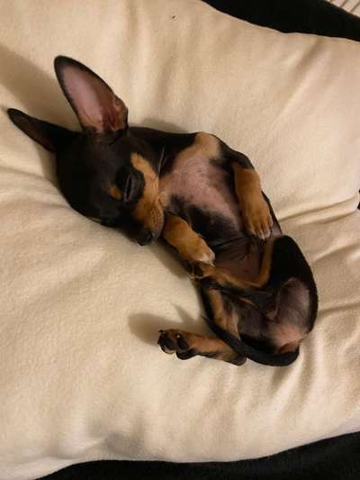 Foto Challenge Nr. 134-Beitrag-Bild