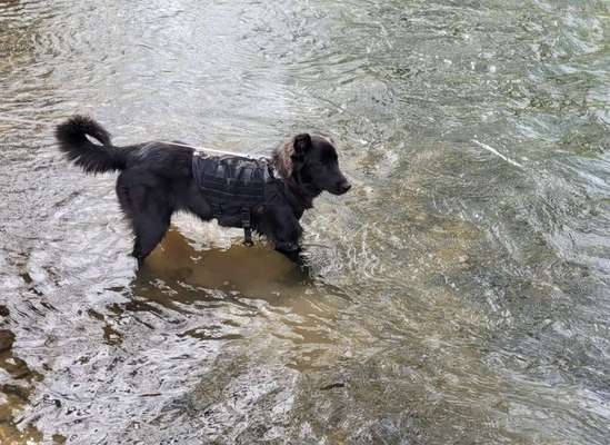 Foto Challenge Nr.133-Beitrag-Bild