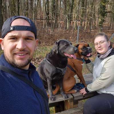 Hundetreffen-CHAMÄLEON Hundetreff-Bild