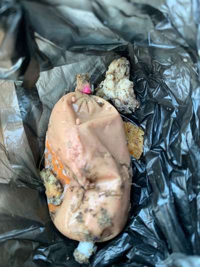 Giftköder-Gift in Leberwurst !!!!-Bild