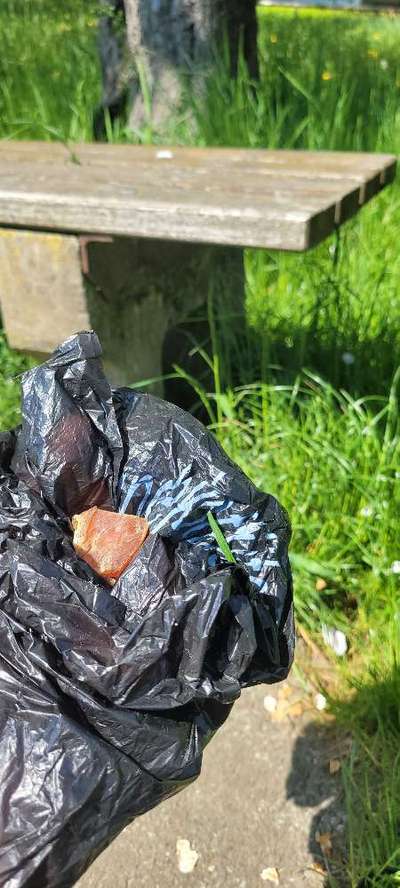 Giftköder-Giftköder / Fleisch-Bild
