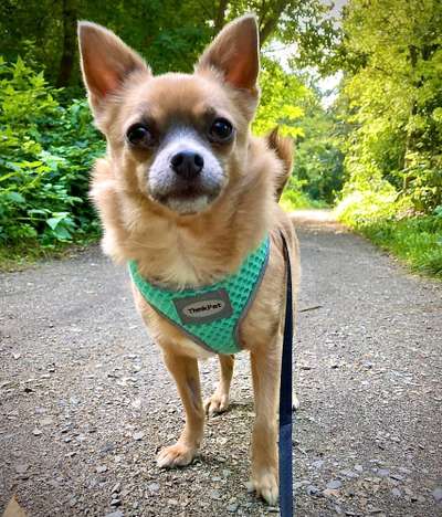 Zeigt eure Portraits-Beitrag-Bild