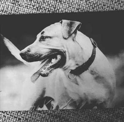 Fotochallange Nr. 57     PORTRÄT.   Beendet!!!!!!!!-Beitrag-Bild