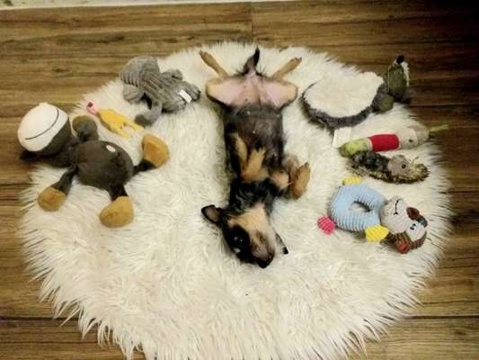 Fotochallenge Nr.65-Beitrag-Bild