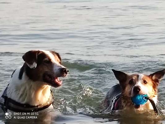 FOTOCHALLANGE NR.71 BADEFREUDE-Beitrag-Bild