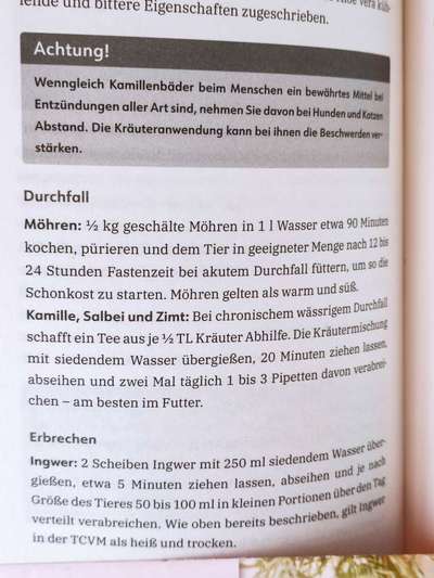 Ständiger Durchfall-Beitrag-Bild