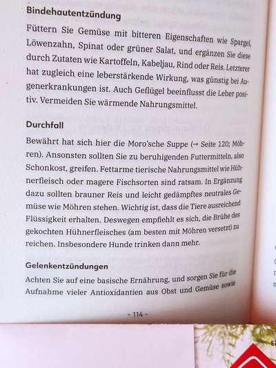 Ständiger Durchfall-Beitrag-Bild