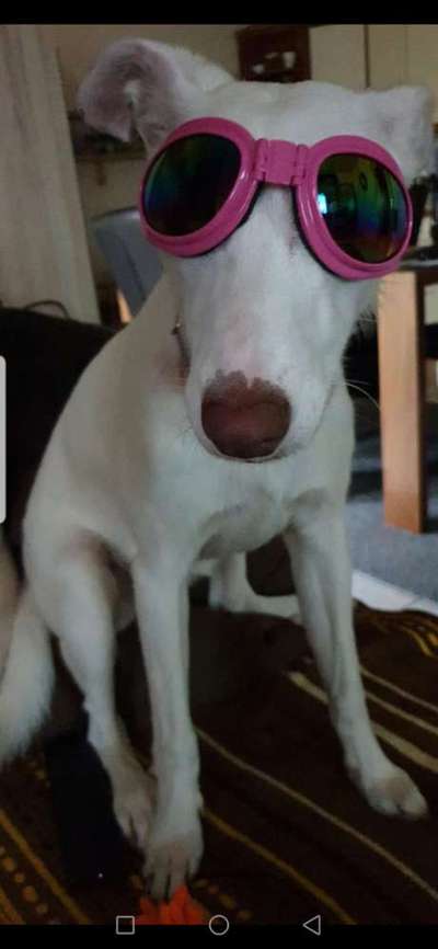 Eure Strandbilder :)-Beitrag-Bild