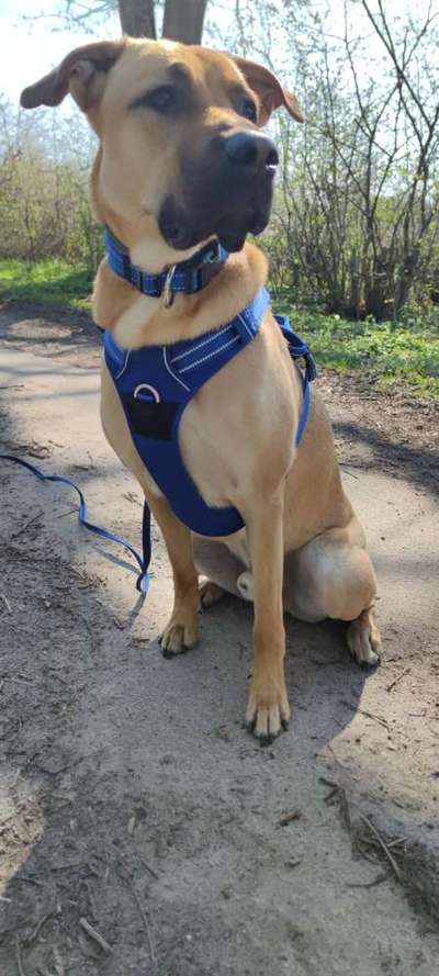 Doppelgänger gesucht !-Beitrag-Bild